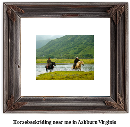 horseback riding near me in Ashburn, Virginia